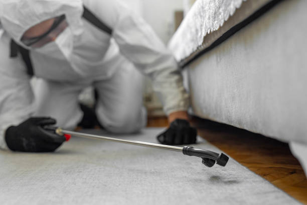 Professional Pest Control technician working in Pepin County County, WI